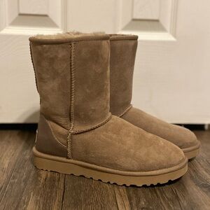 Classic Short II Metallic Uggs